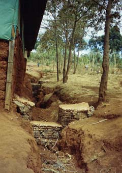 Gulley erosion near the house